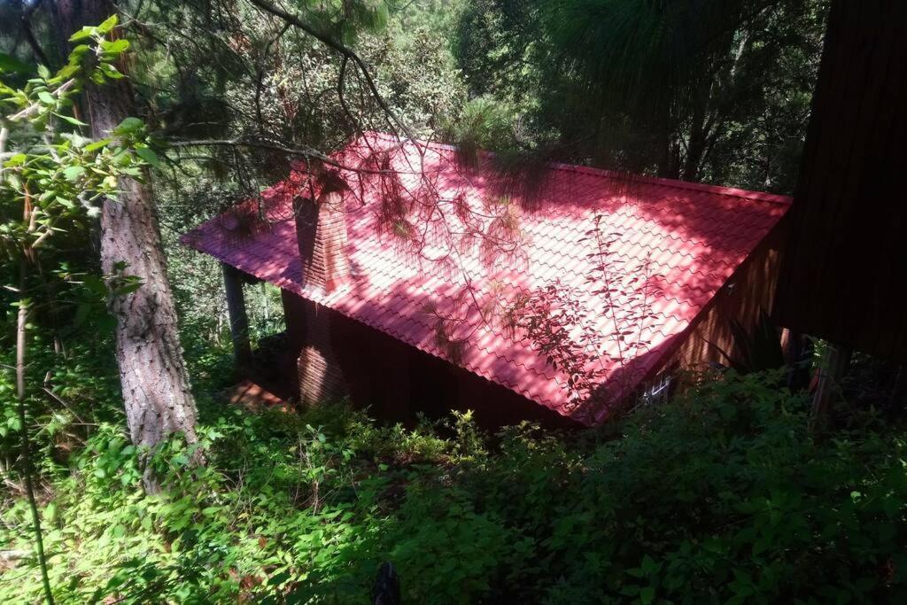 Cabaña con Jacuzzi en Puesta de Sol El Pacifico Exterior foto
